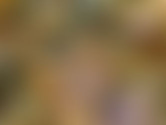 תבשיל מעדן חמוץ של בשר עם ירק וחומוס - שחר שולמית