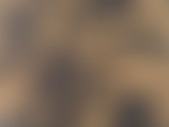 בראוניז לוטוס - מירי צדוק מיראז