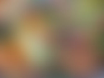 מתכון מנצח ובכלום עבודה כנפיים עם ירקות בתנור ברוטב מתקתק משגע ארוחה טעימה וקלה - נועם זיגדון