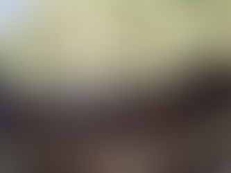 עוגת שוקולד במילוי קרם פיסטוק - דויד וארן