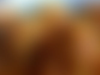 קציצות עוף רכות ברוטב כתום - במטבמח עם דיתוש