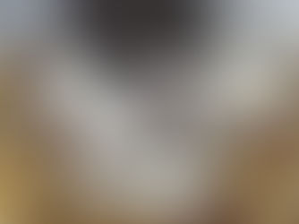 הכי מרענן וקל להכנה ופל בלגי בטעם חלומי - נועם זיגדון