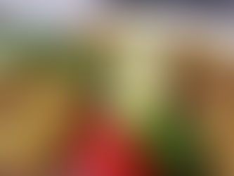 קציצות דגים ברוטב - נועם זיגדון