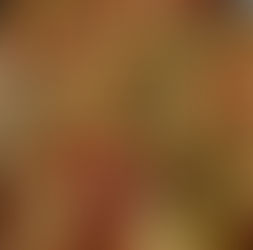 מתכון מנצח פרגיות עם פטריות ברוטב משגע מנה עסיסית ומלאת טעם