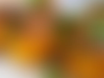 סירות תפוחי אדמה במילוי בשר - נועם זיגדון