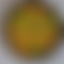 מתכון לערב חג גפילטע פיש פיקנטי יוצא רך עסיסי וטעים  - נועם זיגדון