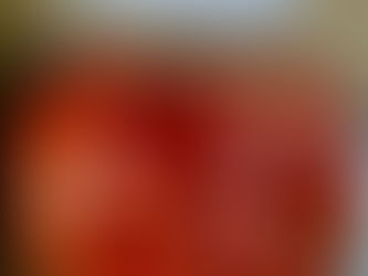 צנוניות מוחמצות - במטבח עם דיתוש