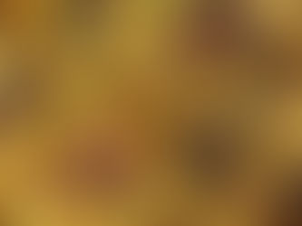 ארוחה בסיר אחד תבשיל תפוחי אדמה עם קציצות בשר רכות ועסיסיות ברוטב חלומי - אילנה לוי