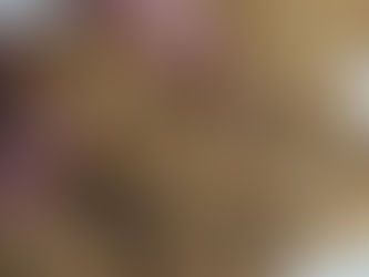 עוגיות שוקולד חלב ופרלינה עם אגוזי לוז - דויד וארן