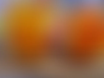 מתכון מושלם לחמוצים טרשי שמוכנים אחרי יום בקירור - אריאלה גולדמן