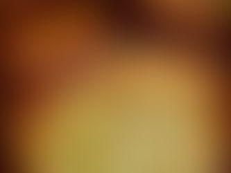 לביבות ירק  - אריאלה גולדמן