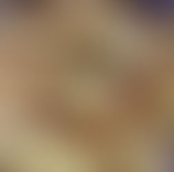 המתכון ששבר את הרשת הקציצות של סולטנה אין טעימות ומוצלחות מהן - גולדי מטעמים