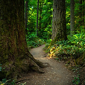 iStock-1427419066.jpg