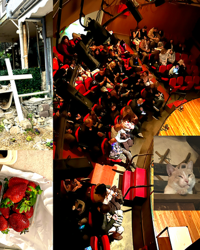 Dear diary | My first week of March 