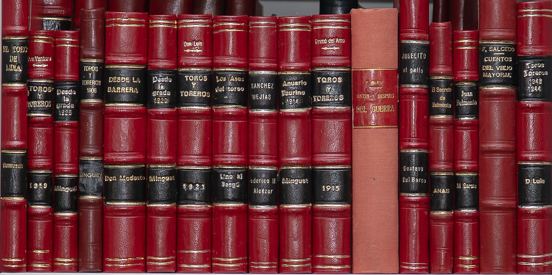 Books and Puente AMWEB NoWM-4485.jpg