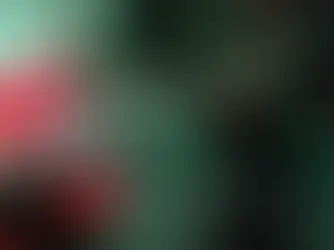 BIME abrió su convocatoria para artistas colombianos que deseen participar en su edición Bogotá 2026.