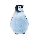 水彩画ペンギン2