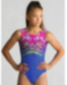 Gymnastics Dream Hot Pink Leotard Sublimation