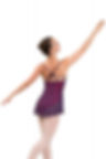 Ballet Rosa Two Tone Dress