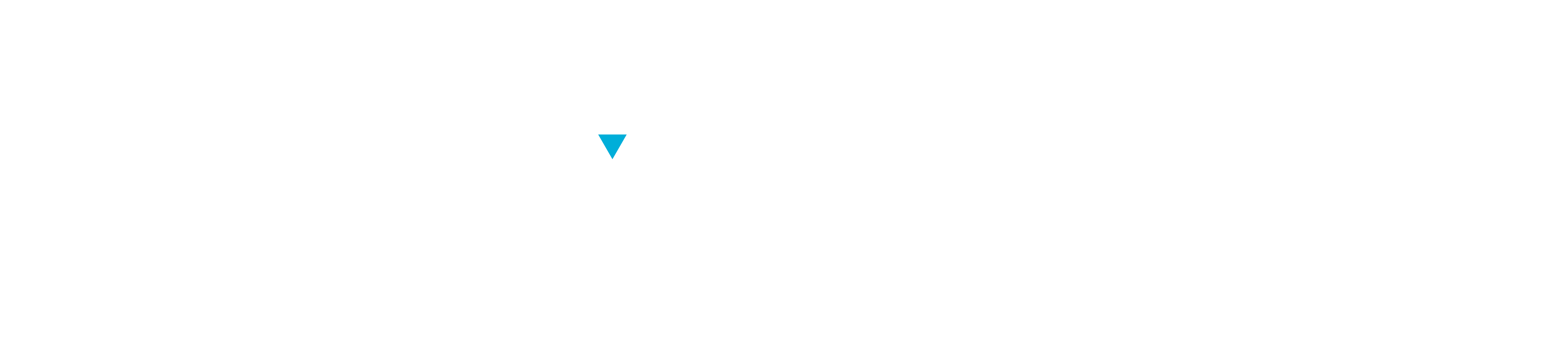 Vindico Logo_White_Blue Triangle-01.png