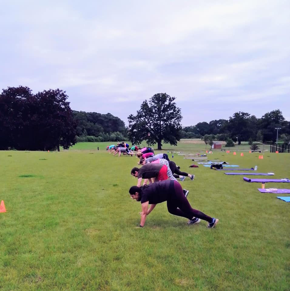 Bear Crawl