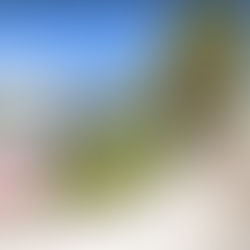 Q4-2020 Lease & Sales Comps - Aventura, North Miami & North Miami Beach, FL