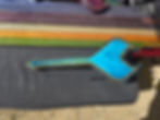 Horned Paddle