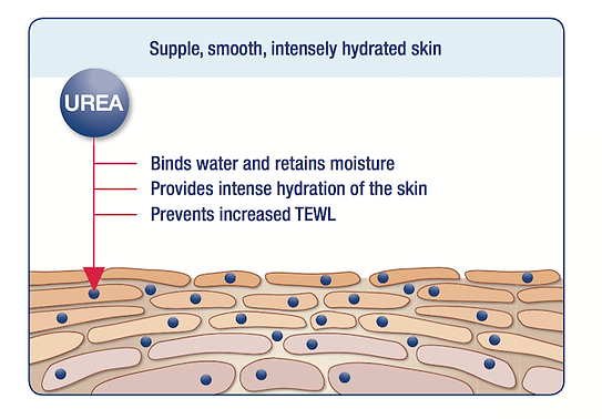 urea.png