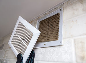 AdobeStock_271394475-scaled.jpeg