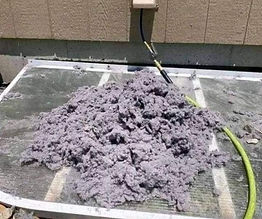 dryer wall.jpg