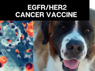 Yale's EGFR/HER2 Vaccine Helps Dogs With Metastasis?!