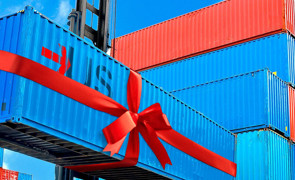 NEXUS DICIEMBRE 2.jpg