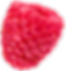 PRODUCTO SINGLE FRUIT FRAMBUESA.png