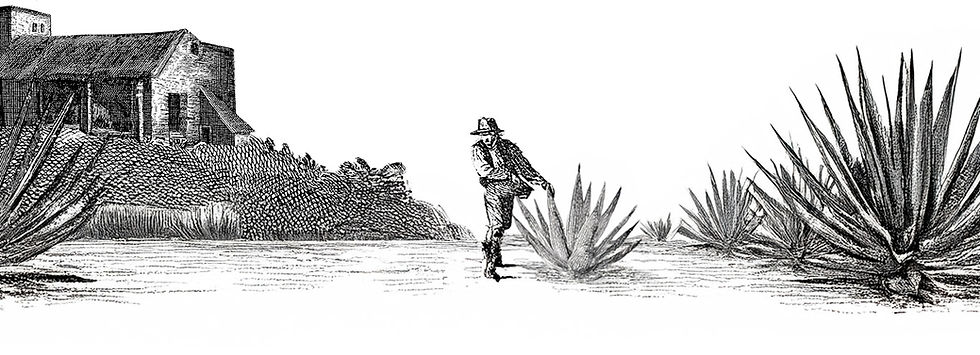 ILUSTRACION PREMIOS.jpg