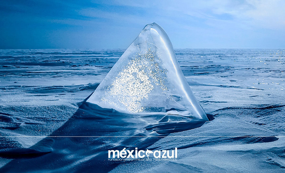 MEXICO AZUL NOVIEMBRE 5 B.jpg