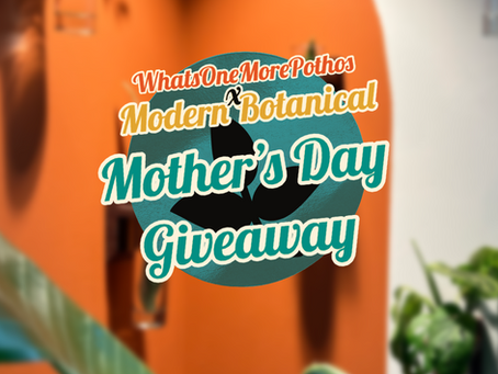 @WhatsOneMorePothos x @ModernBotanicalShop Mother's Day Giveaway