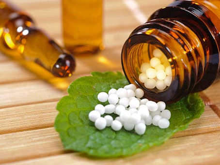 L'homéopathie pour les animaux