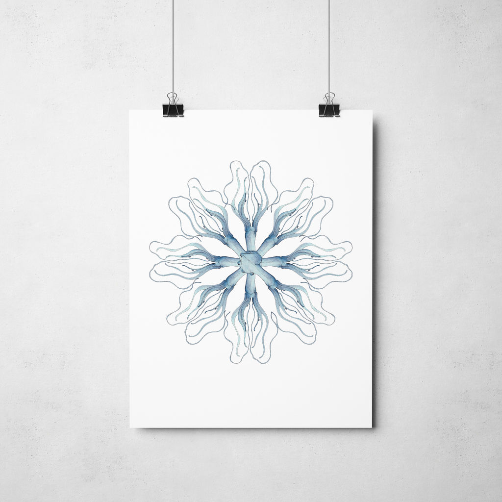 Patterns in Nature No.02V4