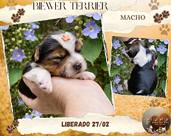 Montagem de Foto Tons pasteis Amor_20260126_005301_0000.png