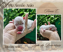 Cópia de Quadro de metas para 2026 vintage elegante em marrom e bege_20260127_102242_0000.png