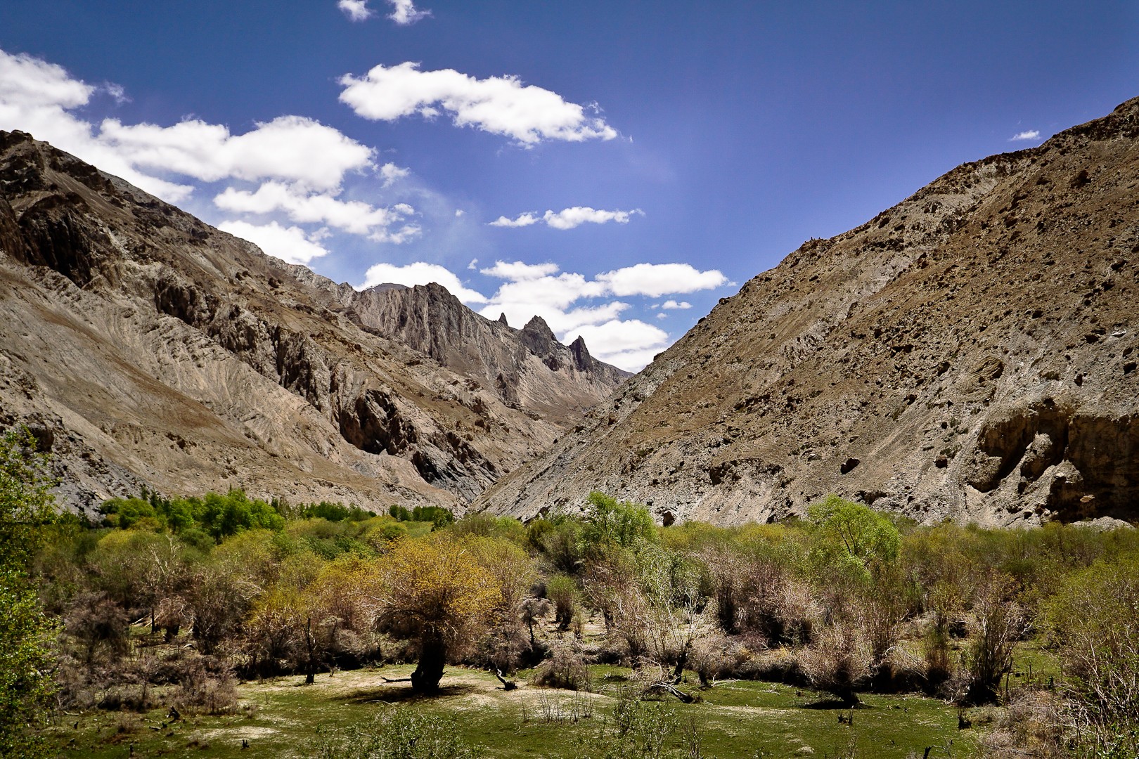 Markha Valley.