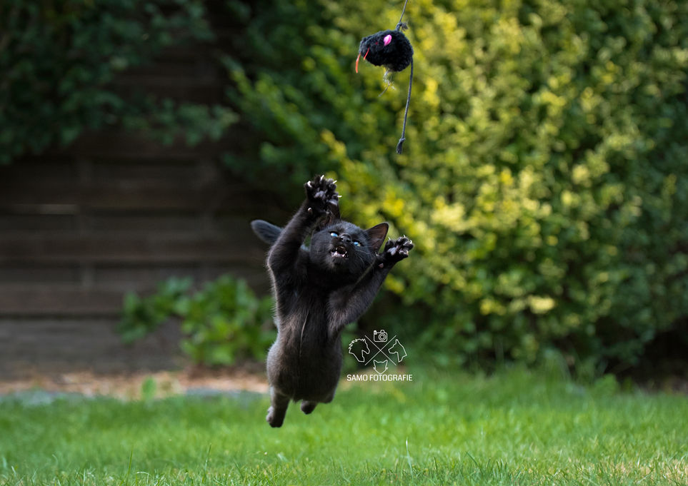 DSC_3846-Bearbeitetweb.jpg