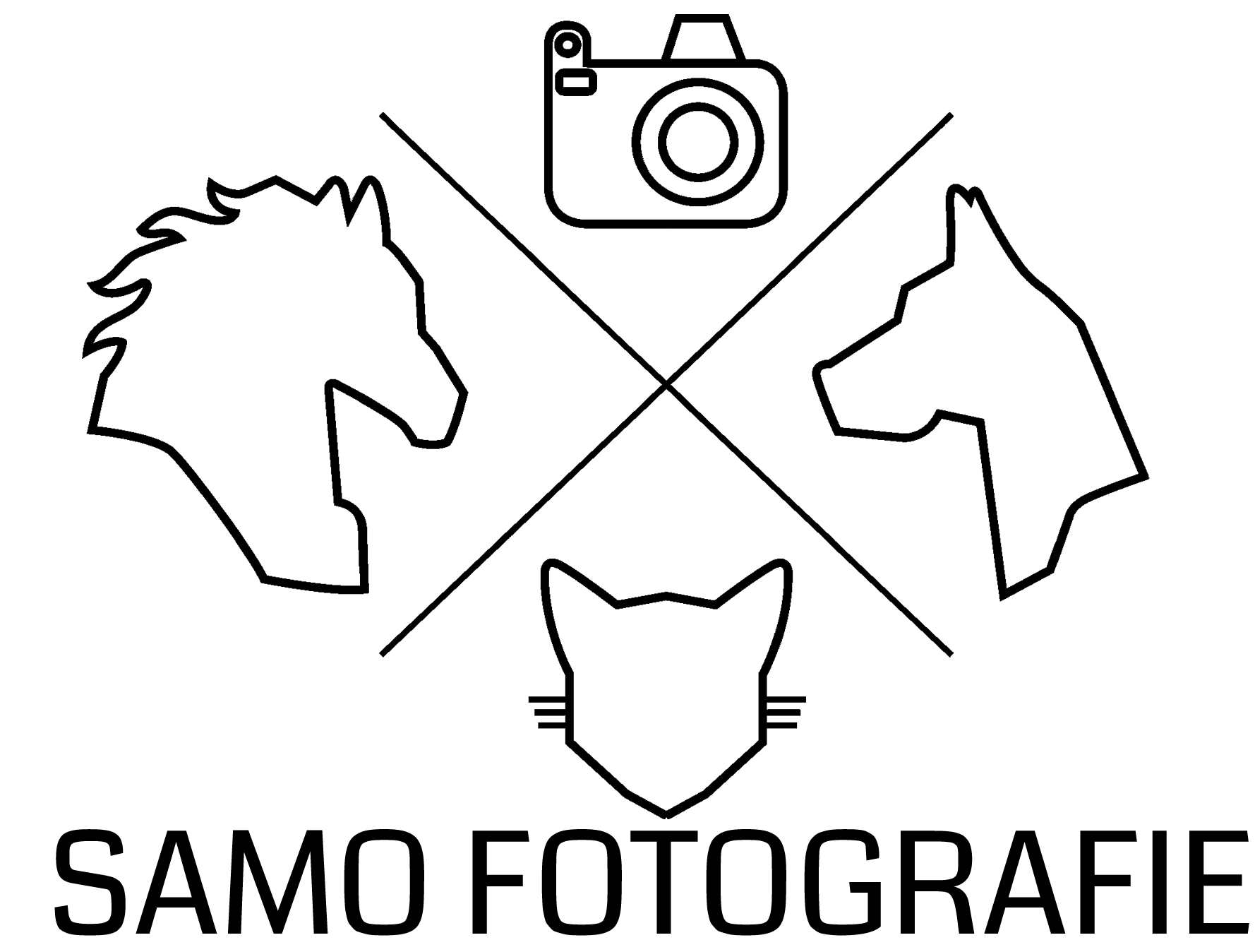 SAMO Fotografie Tierfotografie Hundefotografie Pferdefotografie