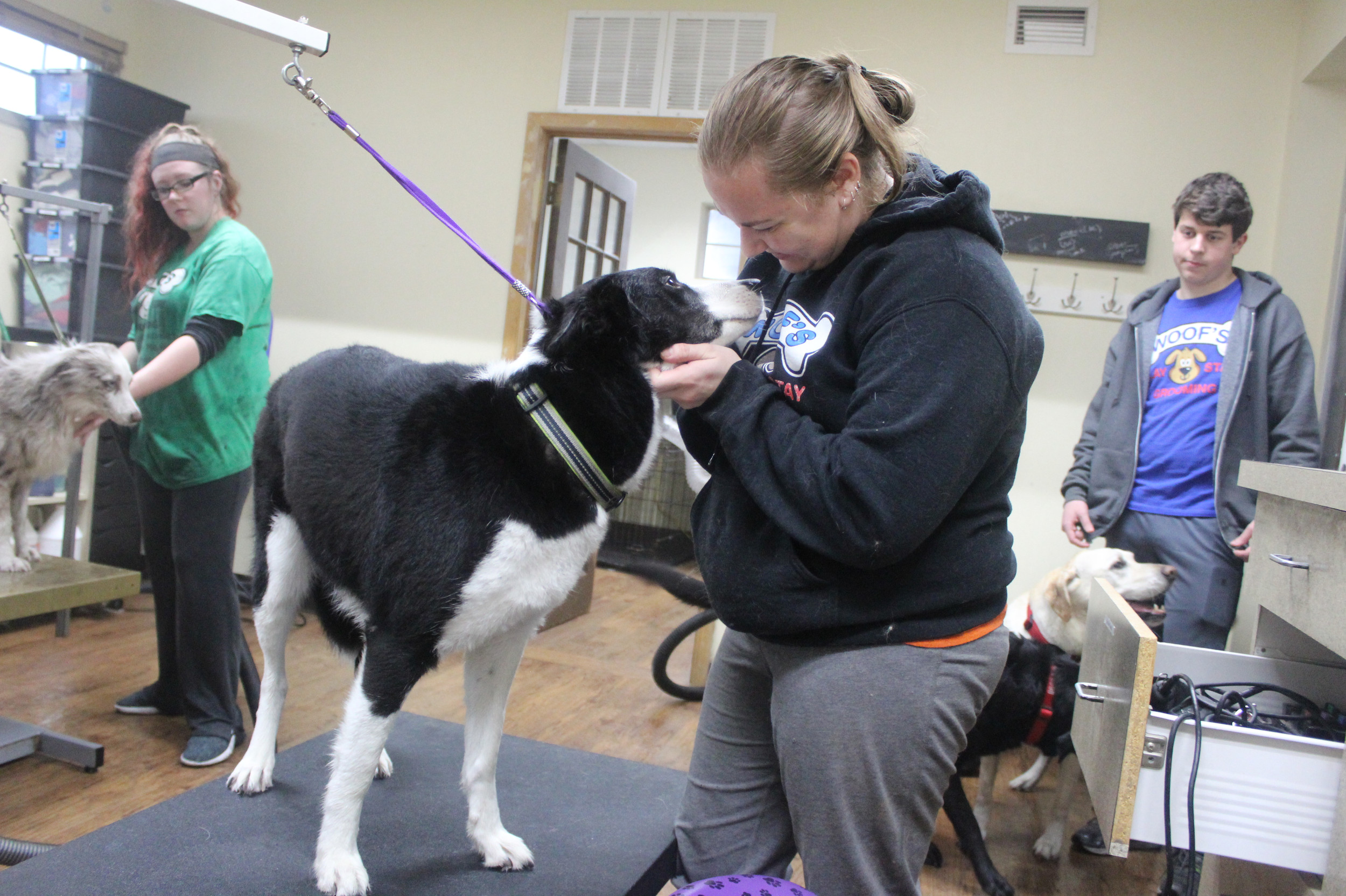 Dog Grooming Prices Merriam, KS, United States Woof's Play & Stay