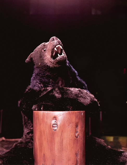 The Bear - Edited_edited.png