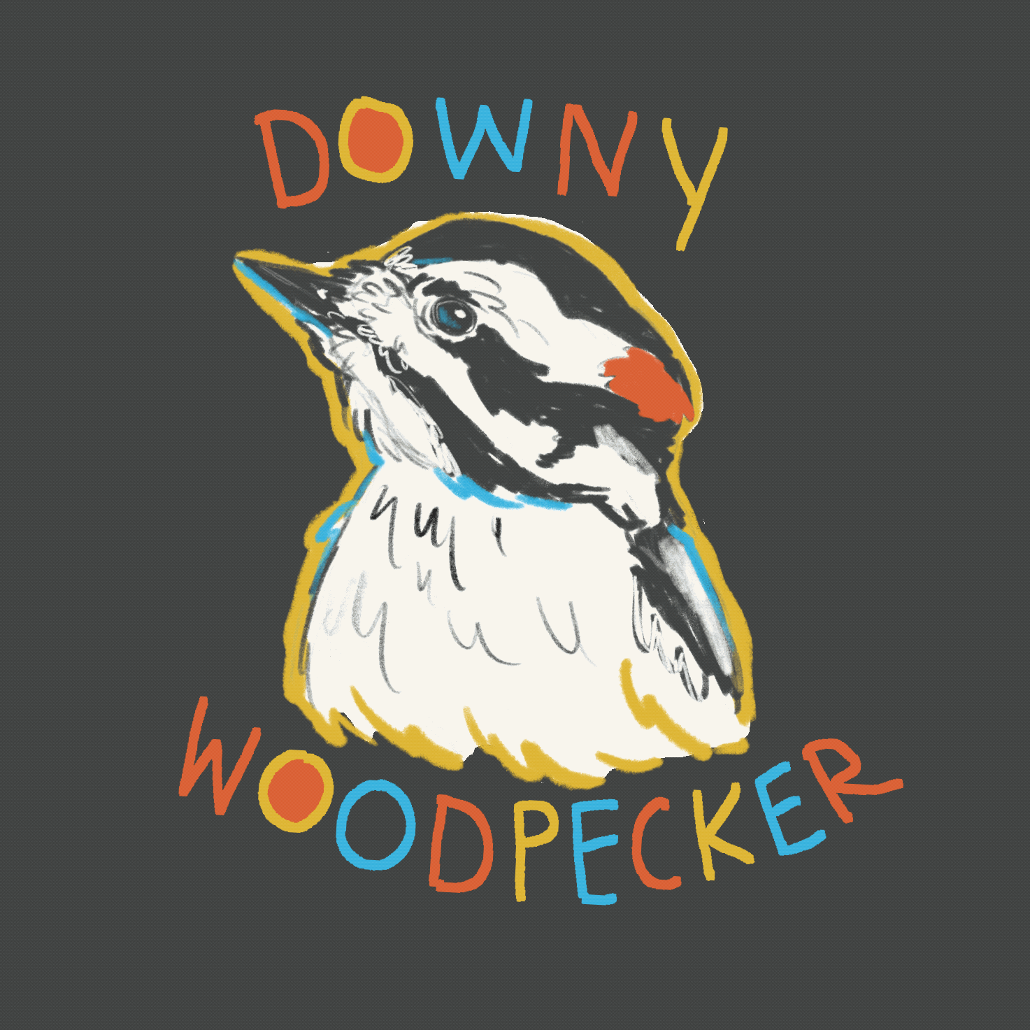 Downy_Woodpecker_.gif