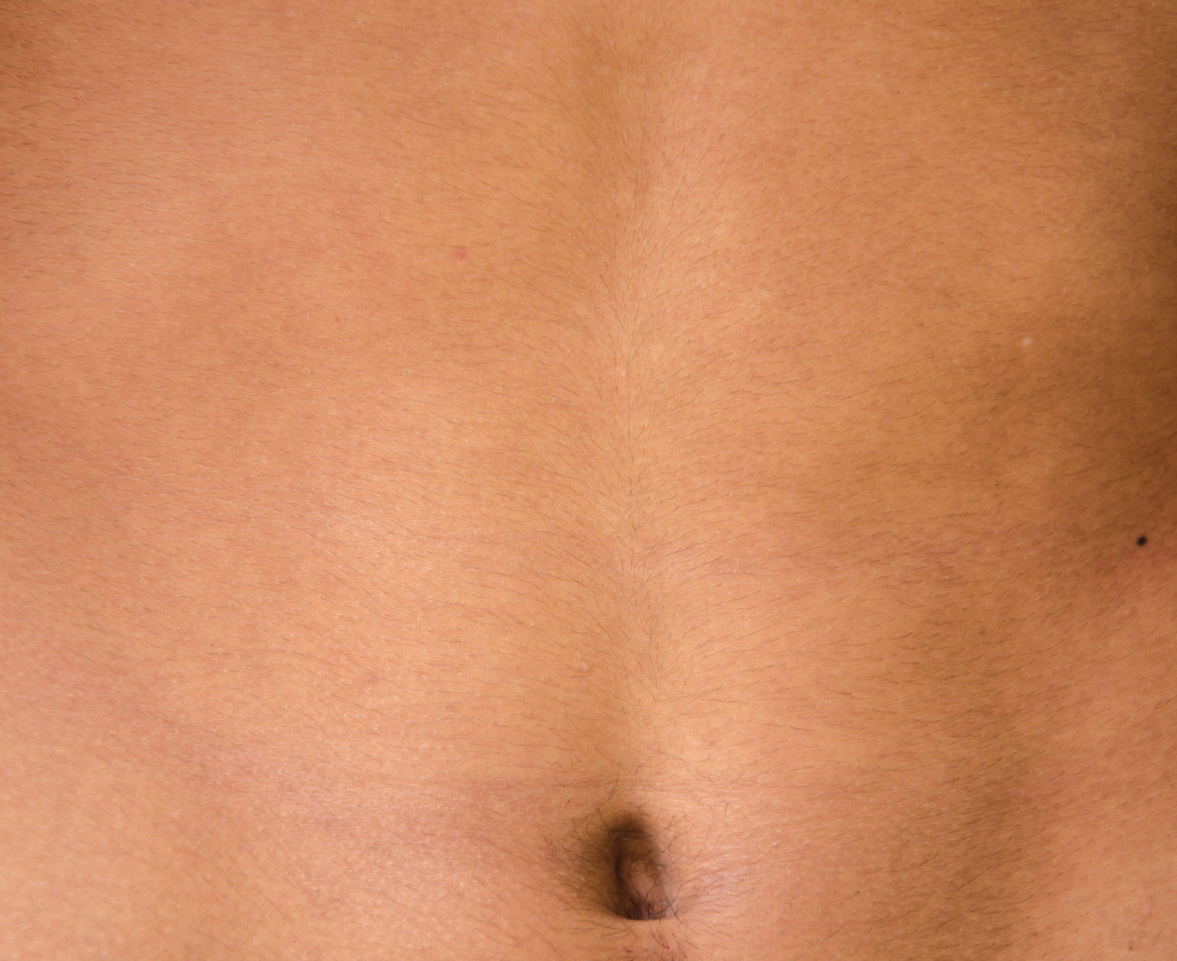 stomach