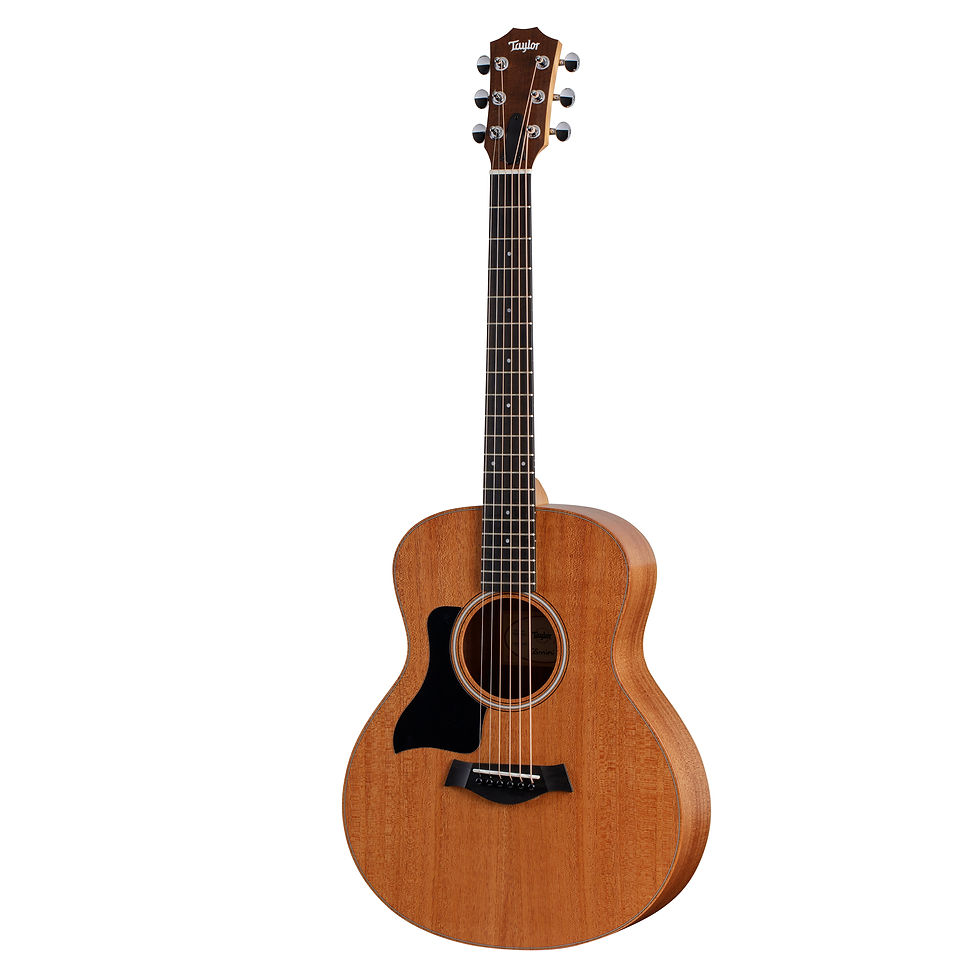Taylor GS Mini Mahogany