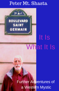 It Is What It Is: Further Adventures of a Western Mystic