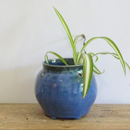 Varidian hanging flower pot